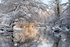 Winter Flow, River Nidd