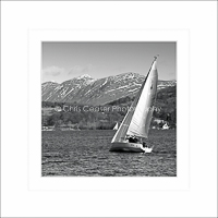 Card SQ14 - Sailing
