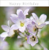 card OCC 23 Happy Birthday