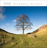 card OCC 27. 100 Birthday Wishes