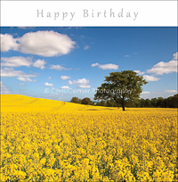 card OCC 34 Happy Birthday