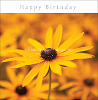 card OCC 35 Happy Birthday