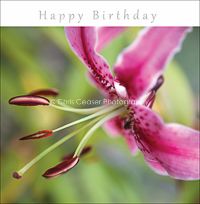 card OCC 18 Happy Birthday