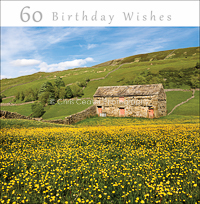 card OCC 29. 60 Birthday Wishes