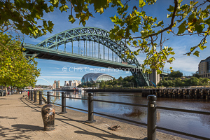 Turning Of The leaves, Quayside