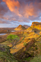 Branching out, The Quiraing