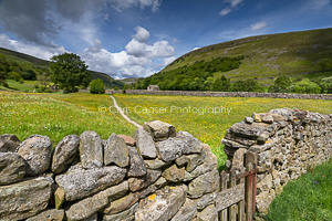 Into The Meadows, Swaledale