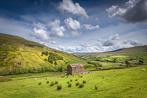 Head Of The Valley, Swaledale