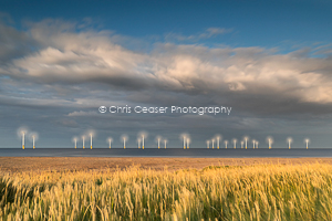 Wind Power, Redcar