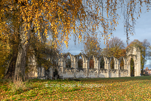 St. Mary's Abbey In The Autumn, York