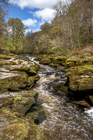 By The Strid, Bolton Abbey
