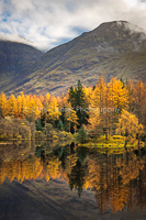 Golden Reflections, Glencoe