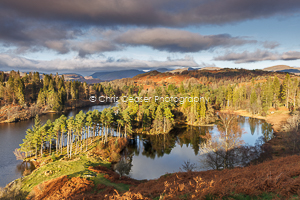 Late Autumn Afternoon, Tarn Hows