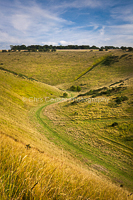 A winding path, Yorks Wolds
