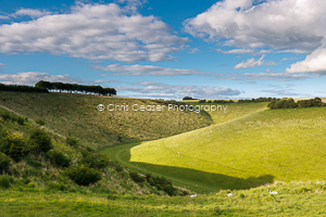 Twists & Turns, Yorkshire Wolds