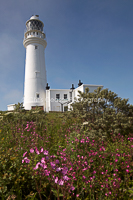 Beside The Lighthouse, Flamborough