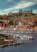 card 11 - Whitby