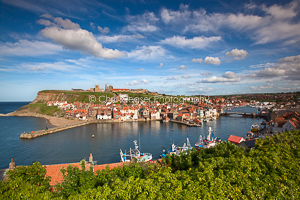 Card 267 - Whitby