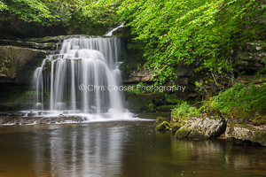 By The Falls, West Burton