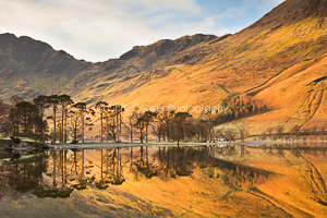 Dawn reflections, Buttermere