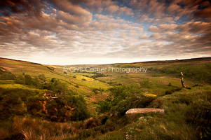 View into Rosedale, North York Moors