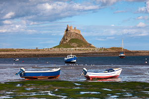 Card 326. Low Tide, Holy Island