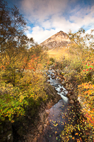 Autumn Colours, Rannoch Moor