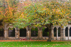 Autumn Colour, Dean's Park