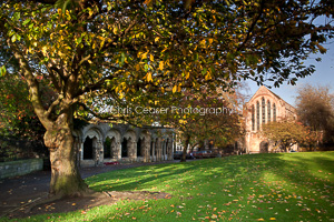 Autumn in Dean's Park, York