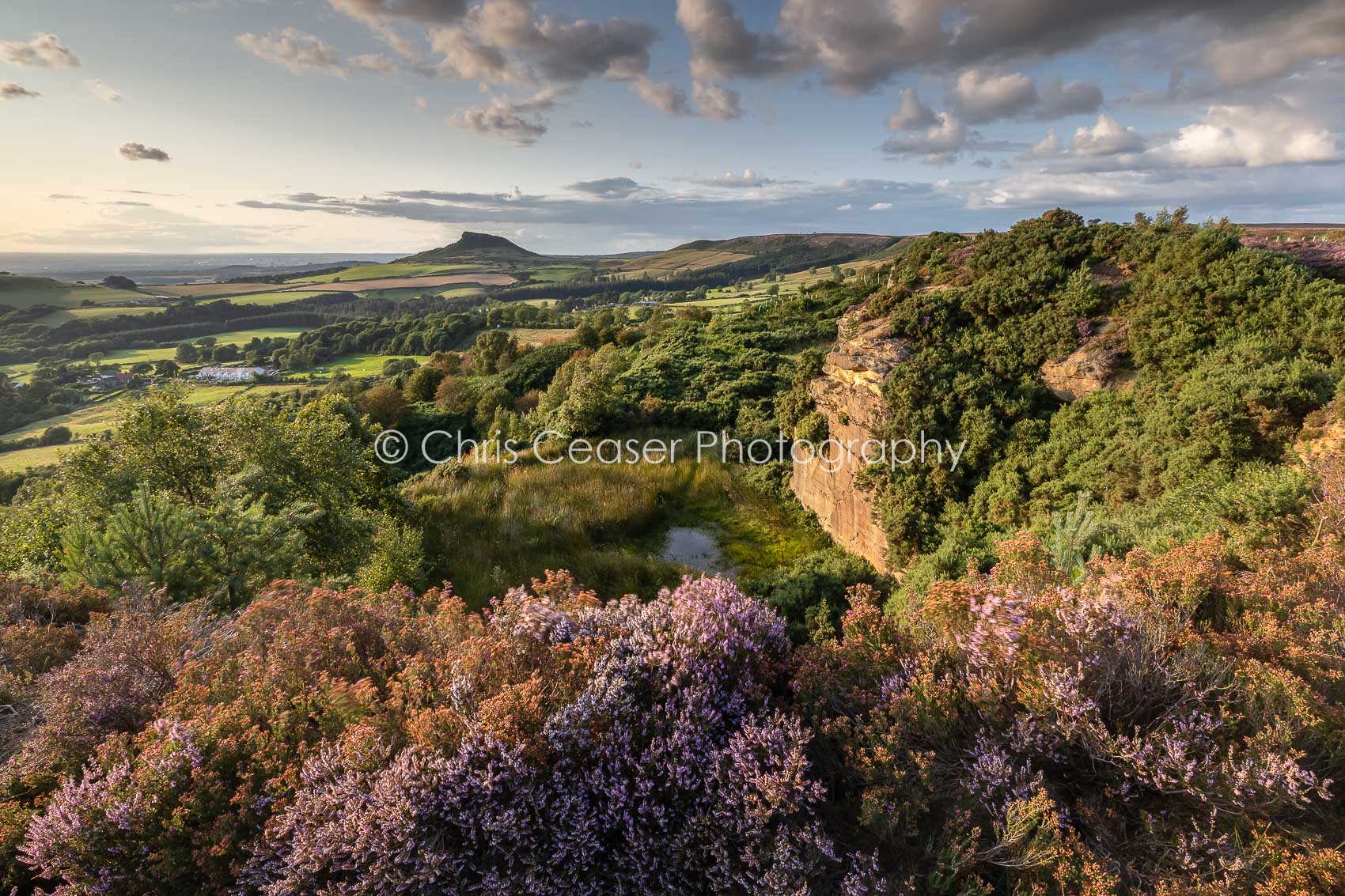 Old Quarry, Gribdale Gate