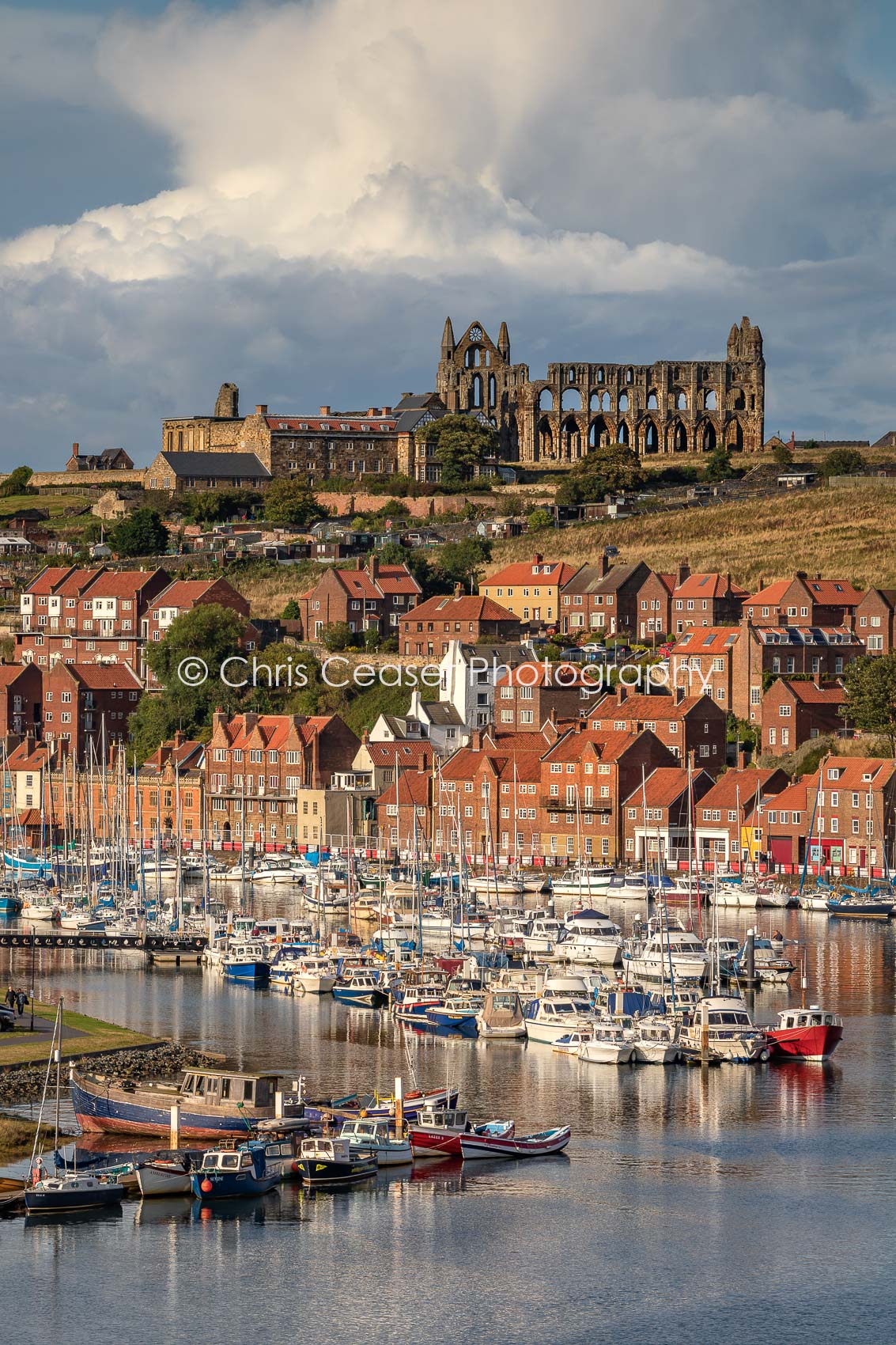 Cumulonimbus, Whitby Abbey