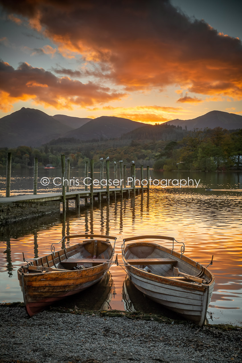 Birds & Boats, Derwentwater