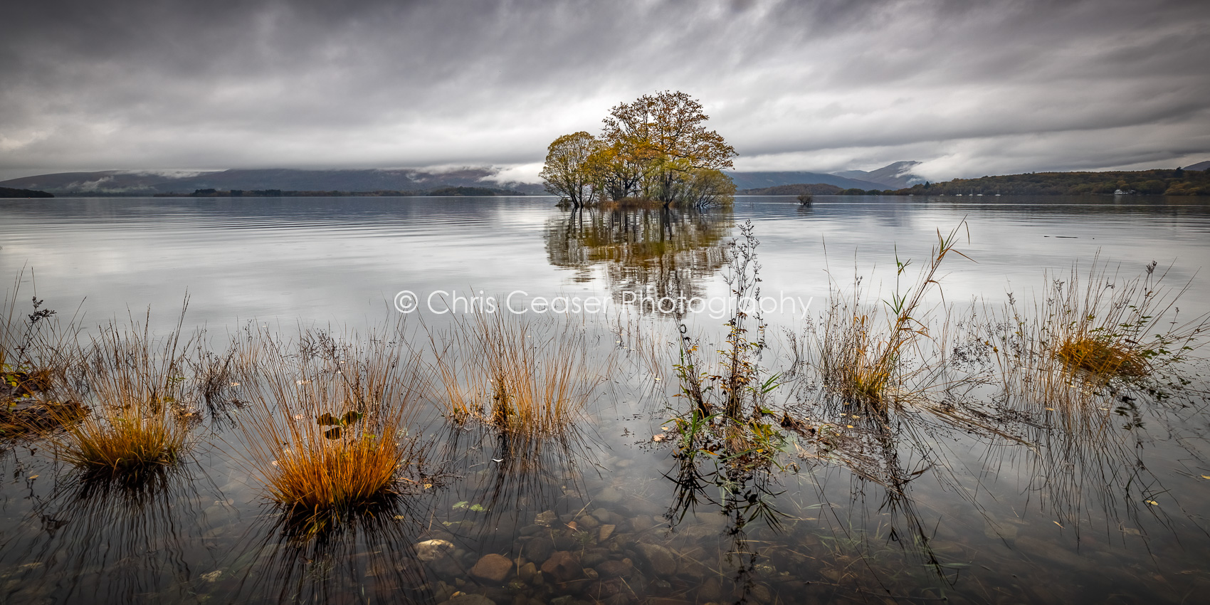 Autumn Grasses, Loch Lomond