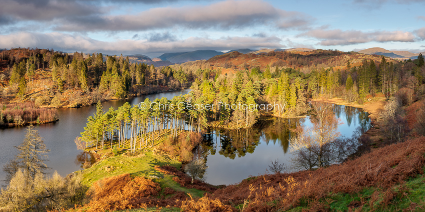 Majesty, Tarn Hows