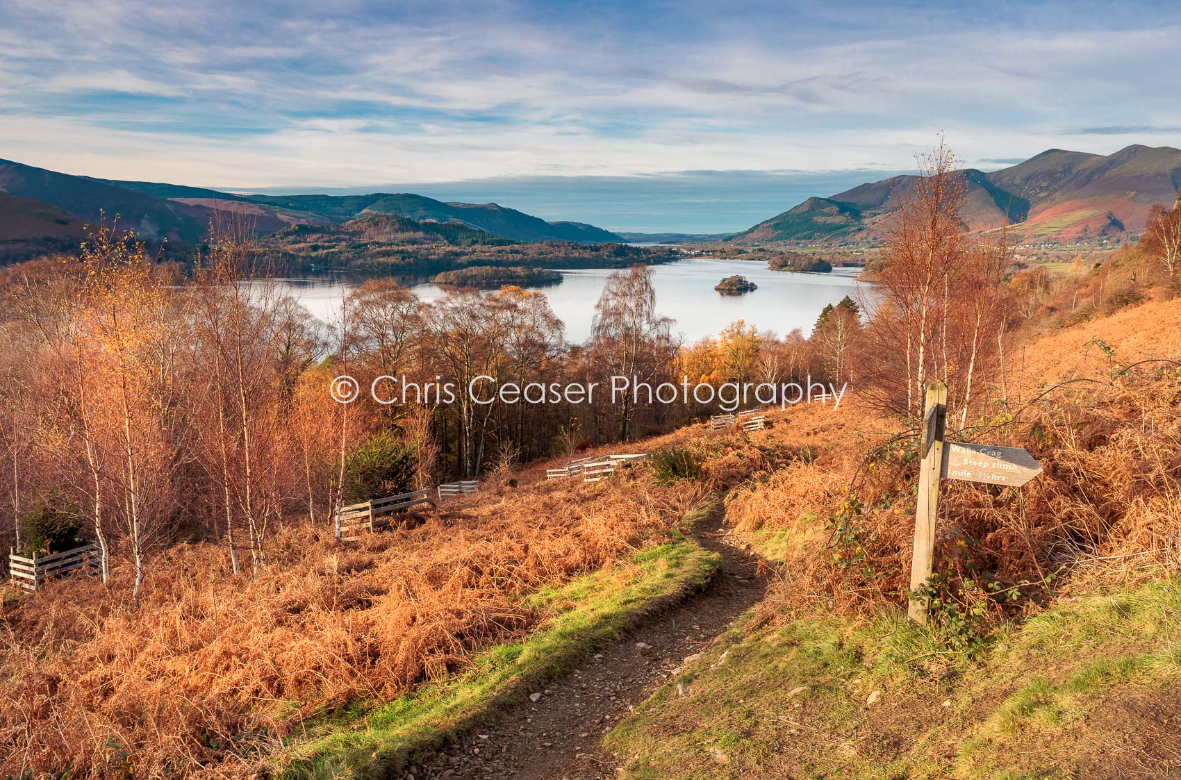 Pathway To The Lake, Derwentwater