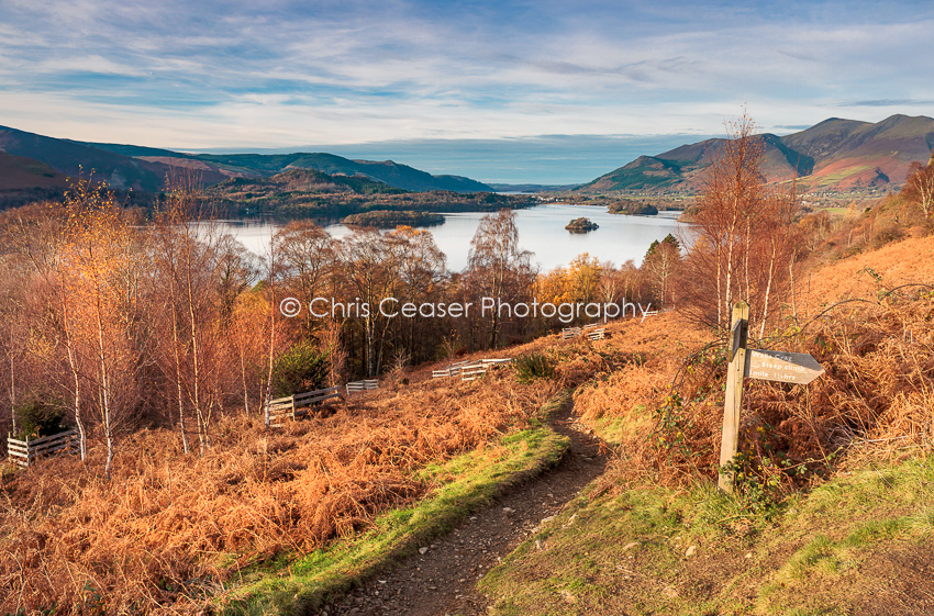 Pathway To The Lake, Derwentwater