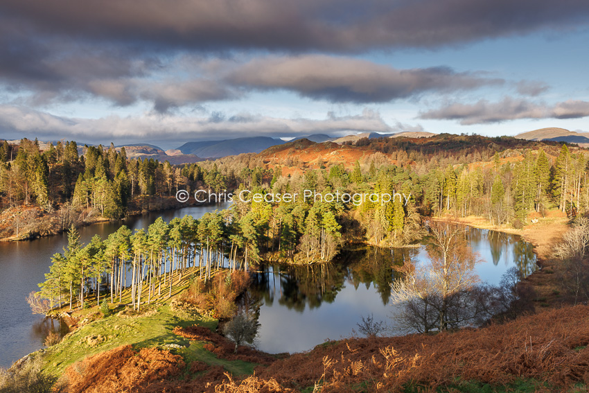 Late Autumn Afternoon, Tarn Hows