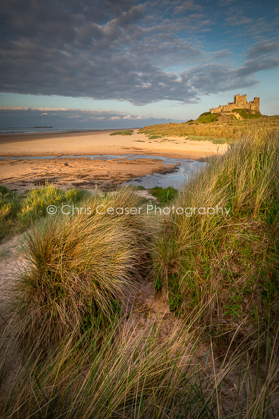 Through The Dunes, Bamburgh