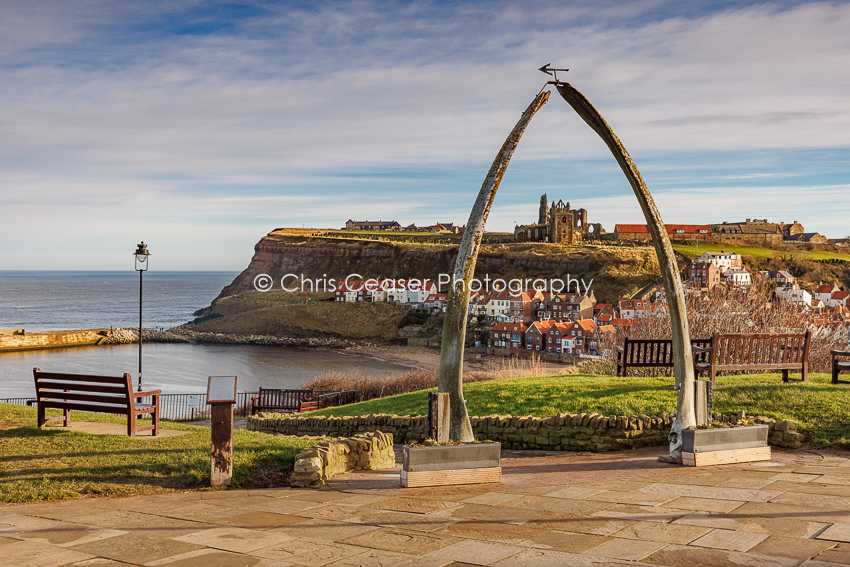 The Whale Bones, Whitby