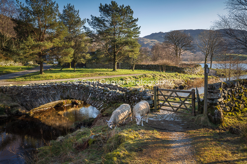 By The bridge, Watendlath