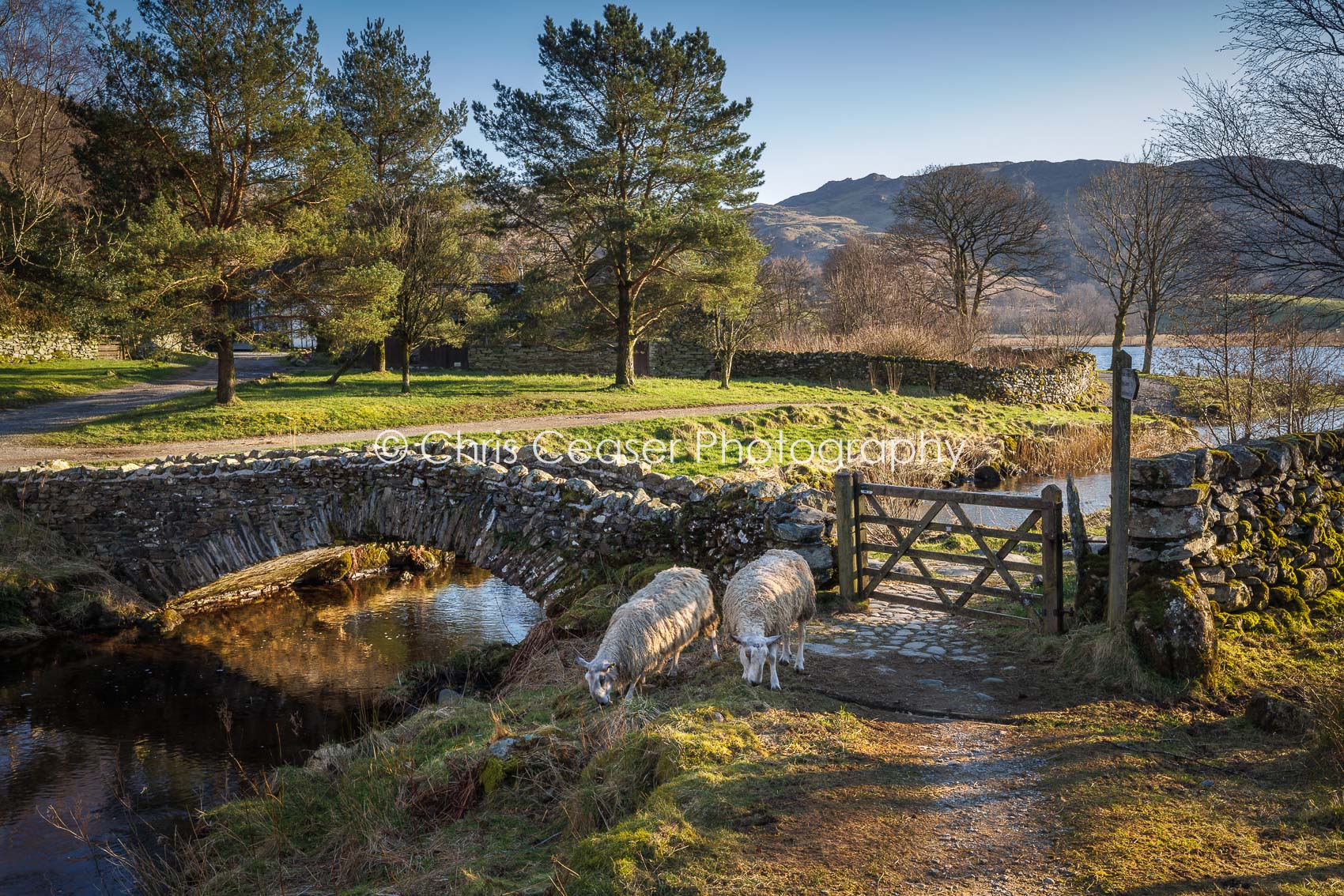 By The bridge, Watendlath