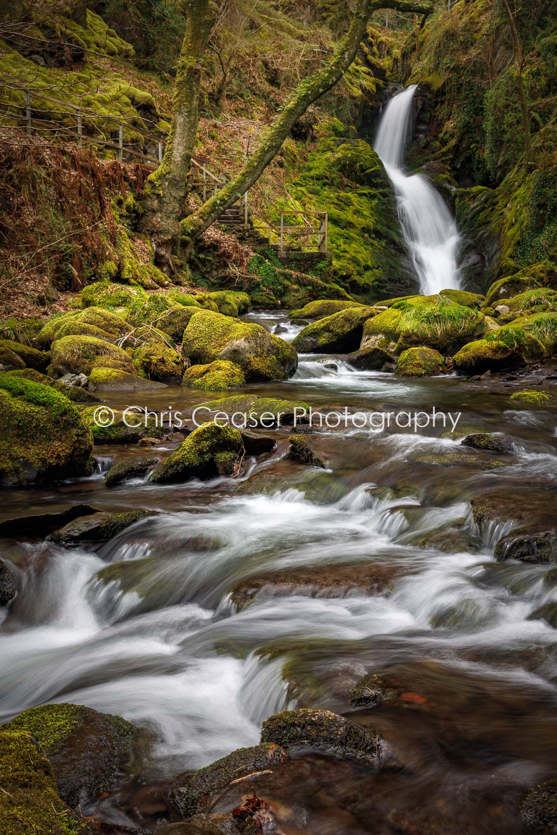 Cascade, Dolgoch Falls