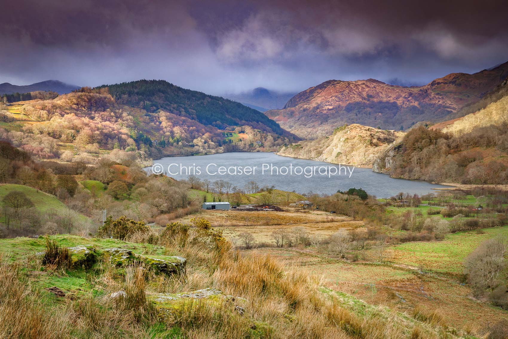 Shafts Of Light, Llyn Gwynant