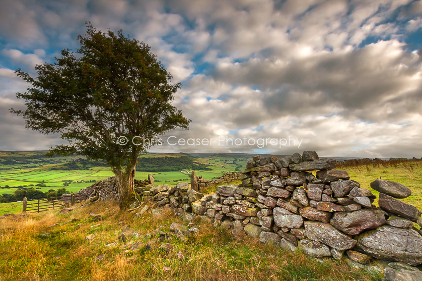 Broken wall, Fryup dale