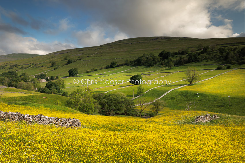 Sweeping Light, Langstrothdale