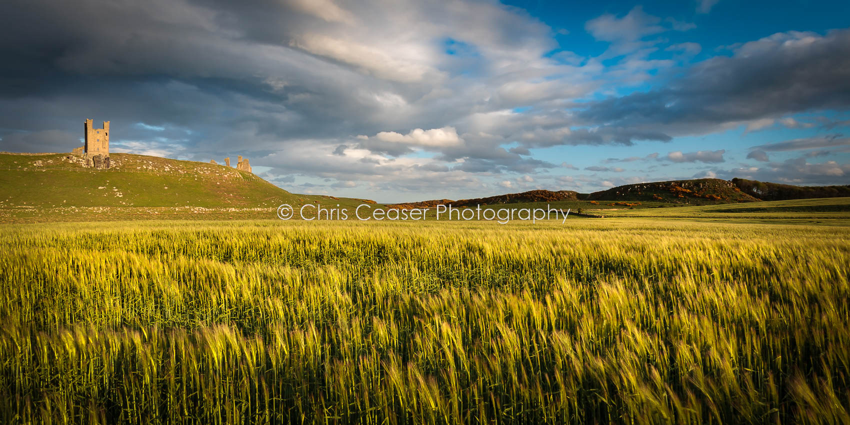 Before The Harvest, Dunstanburgh
