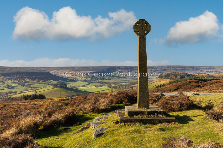 Hazy Afternoons By Anna Cross, Rosedale