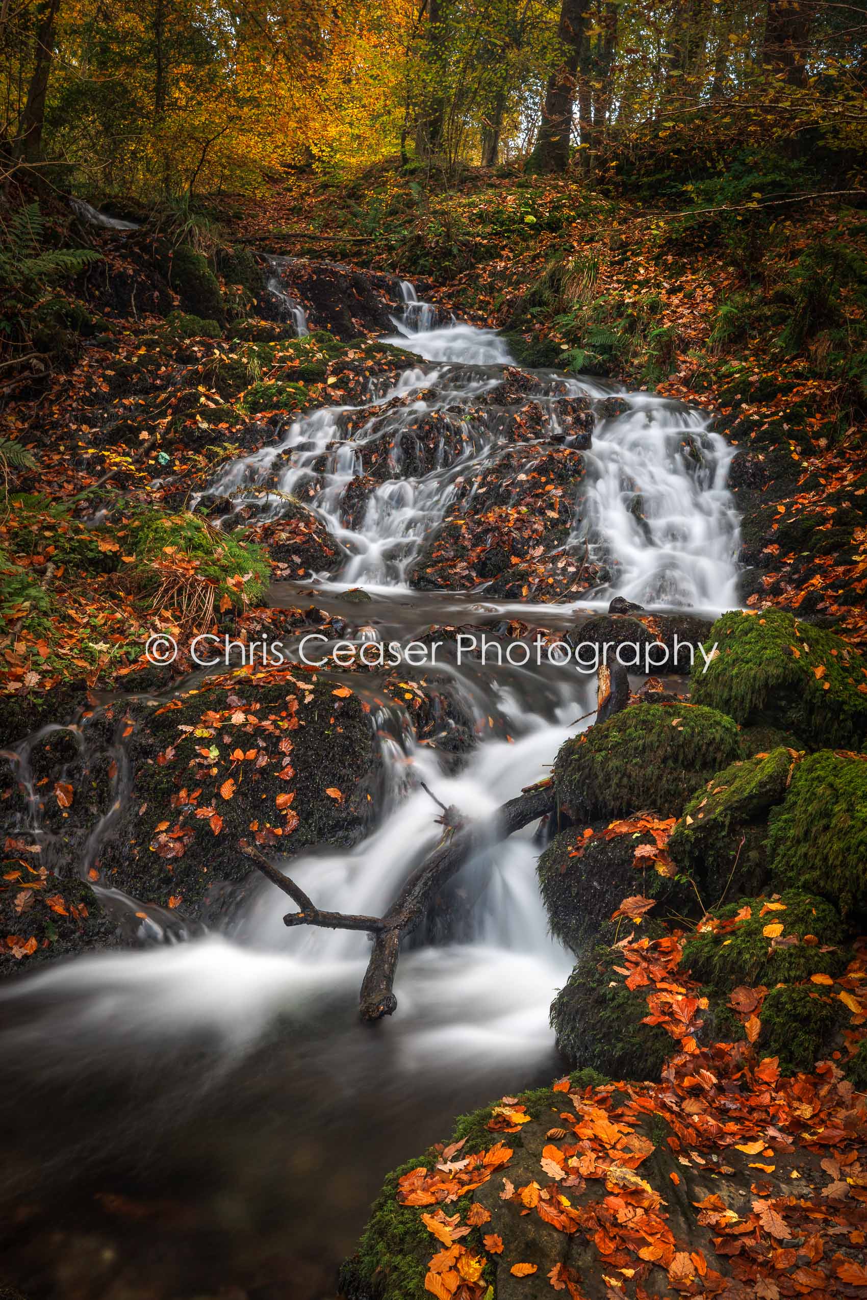 Swirling Brook, Windermere