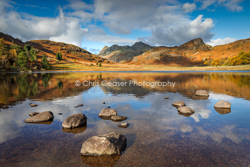 Autumn Splendour, Blea Tarn