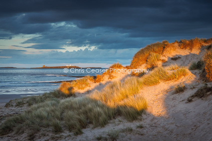 Patch Of Light, Bamburgh